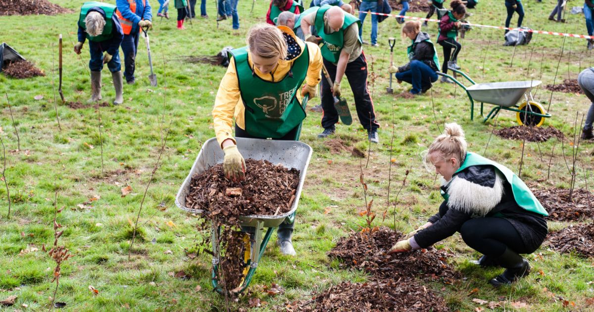 Annual Report 201718 Trees for Cities