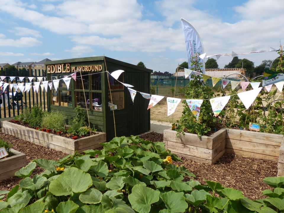 100 Edible Playgrounds Over 10 Years What Have We Learned