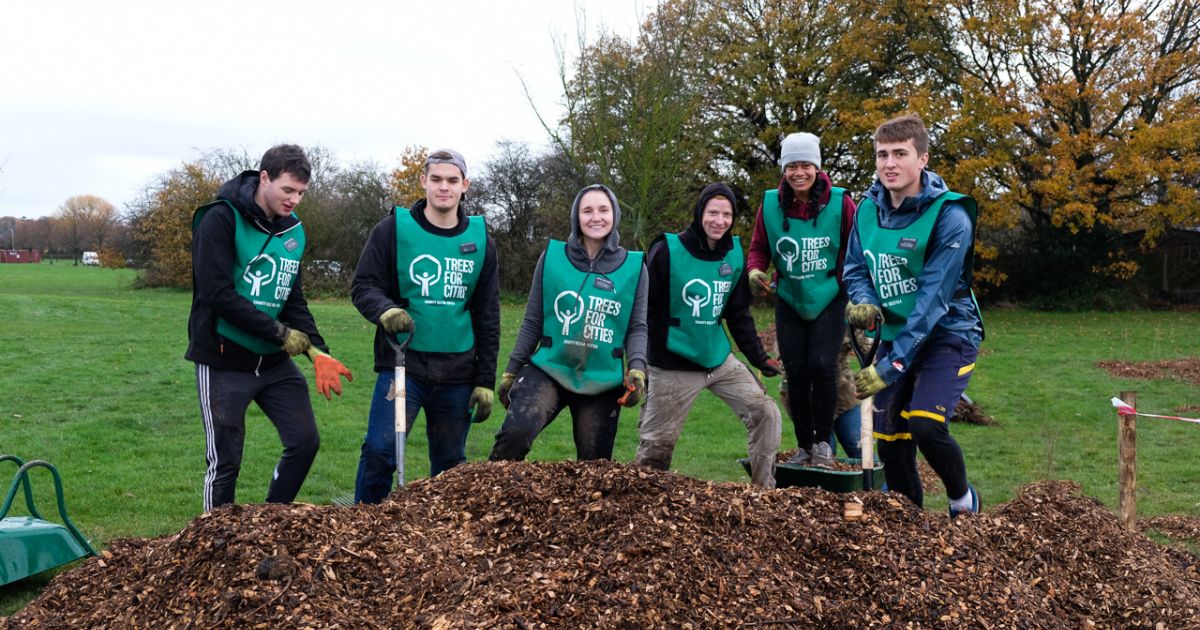 Volunteer Trees for Cities
