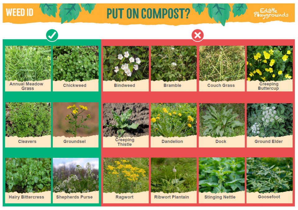 Common Weed Identification Chart